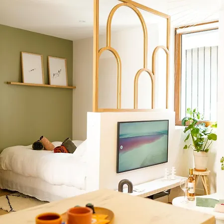 Apartamento Le Cocon D'alice - Cosy, Calme, Et Climatise Annecy